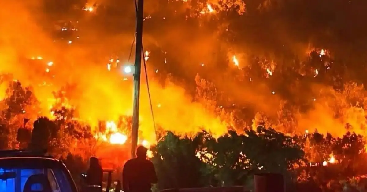 Греція бореться з масштабними пожежами: трагічні втрати серед рятувальників та важлива інформація для українців